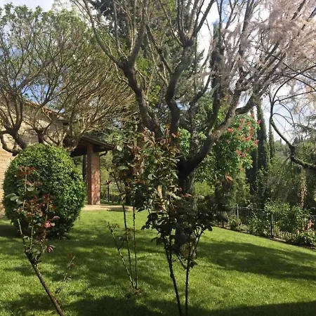 Sassocupo Arezzo